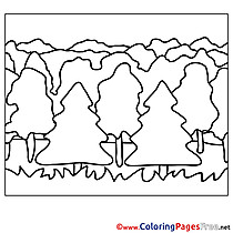 Forest Colouring Page printable free